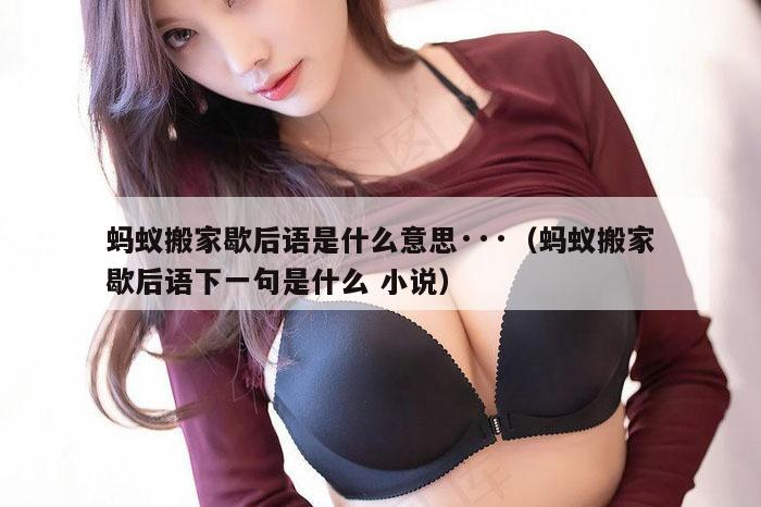 蚂蚁搬家歇后语是什么意思···（蚂蚁搬家歇后语下一句是什么 小说）