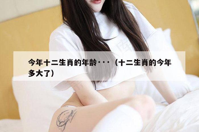 今年十二生肖的年龄···（十二生肖的今年多大了）